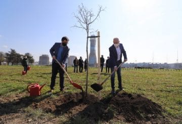 Радојичић: Завршена пролећна акција садње „Дрво за Београд”, настављамо на јесен