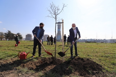 Радојичић: Завршена пролећна акција садње „Дрво за Београд”, настављамо на јесен
