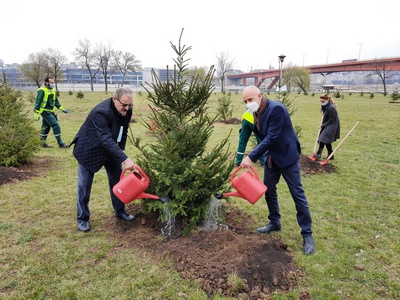 Градоначелник и амбасадор Хрватске засадили нове саднице у склопу акције „Дрво за Београд”