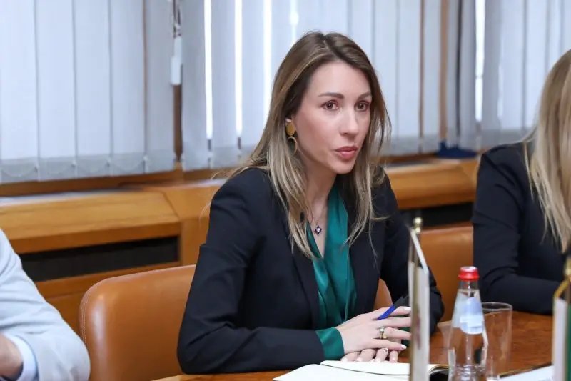 За_пројекат_РХЕ_„Ђердап_3ˮ_заинтересовано_шест_компанија